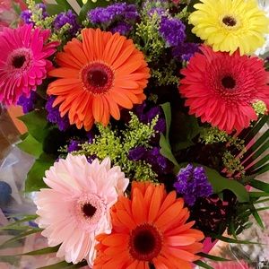 Meet your Posher, Julie